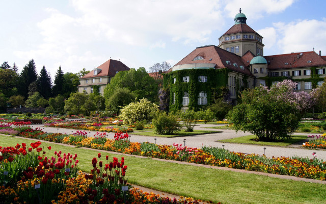 Heidelberg tower garden autumn vivid free wallpaper for desktop - medium preview image