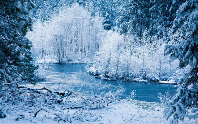 River snowy forest blue sky free wallpaper for desktop - medium preview image