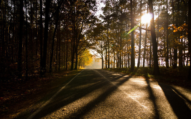 Forest road sunshine cityscape fireworks free wallpaper for desktop - medium preview image