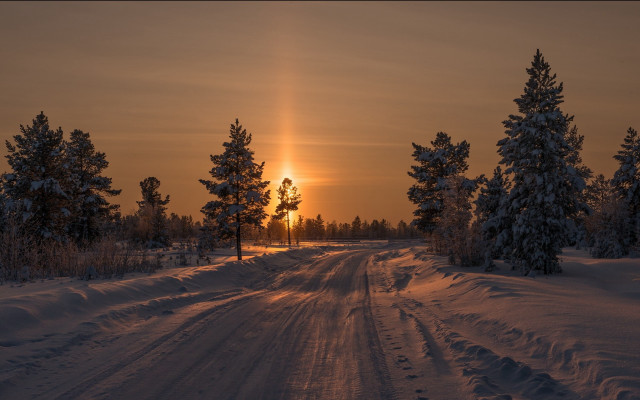 Snowy road dusk forest bush free wallpaper for desktop - medium preview image