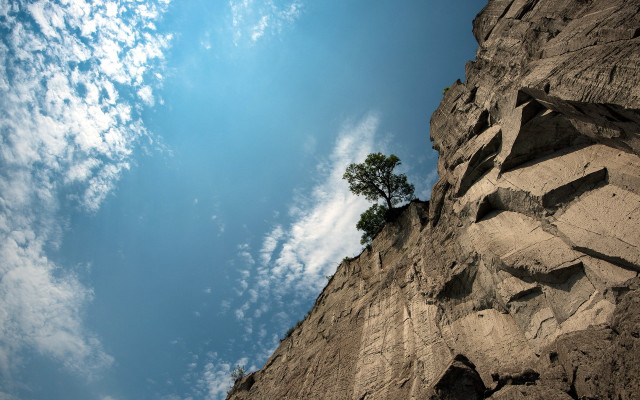 Lone tree rocky cliff blue free wallpaper for desktop - medium preview image