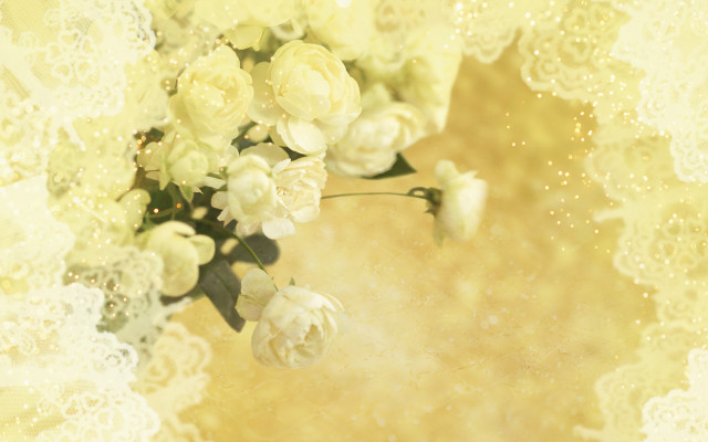 White flowers yellow background lace free wallpaper for desktop - medium preview image