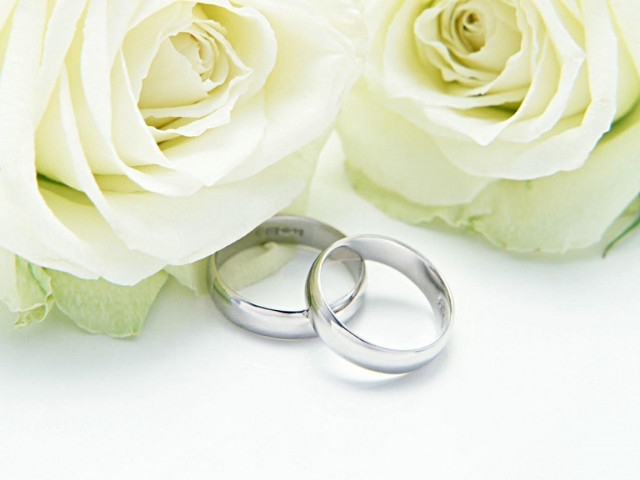 Wedding rings roses white background free wallpaper for desktop - medium preview image