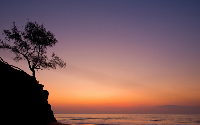 Lone tree cliff ocean sunset free wallpaper for desktop - medium preview image