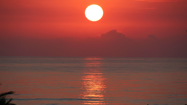 Sunset ocean bird clouds mountain free wallpaper for desktop - medium preview image