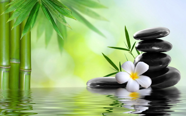 Bamboo white flower rocks water free wallpaper for desktop - medium preview image