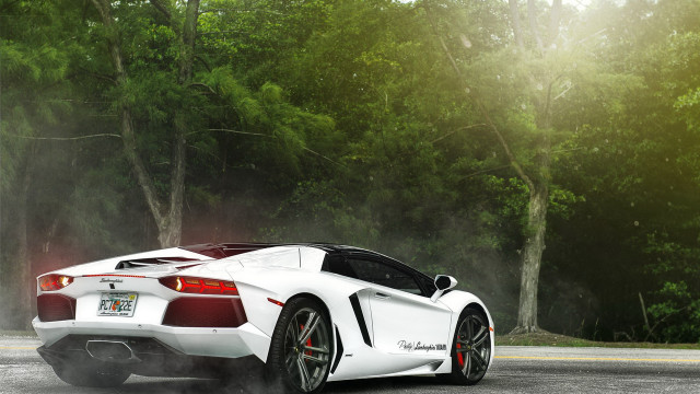 White sports car road forest free wallpaper for desktop - medium preview image