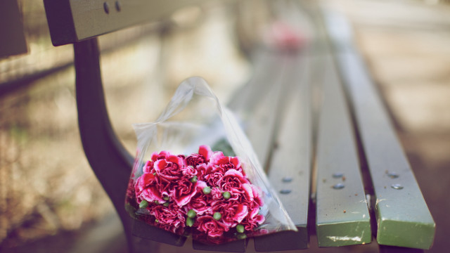 Flowers bouquet park stilllife blurry free wallpaper for desktop - medium preview image