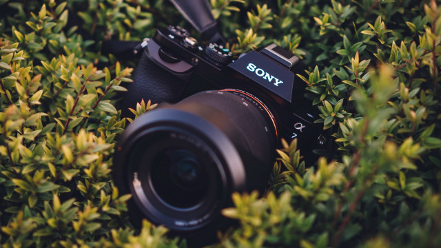 Camera bush sony lens photorealism free wallpaper for desktop - medium preview image