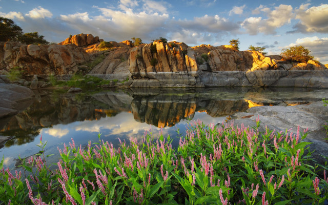 Lake rocks flowers clouds sky free wallpaper for desktop - medium preview image