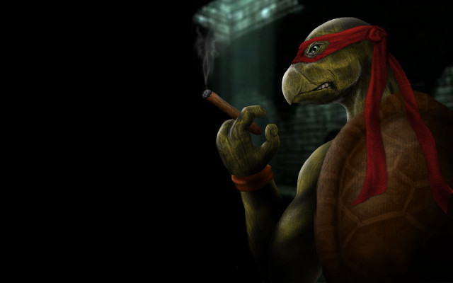 Turtle smoking darkroom redbandanna redscarf free wallpaper for desktop - medium preview image