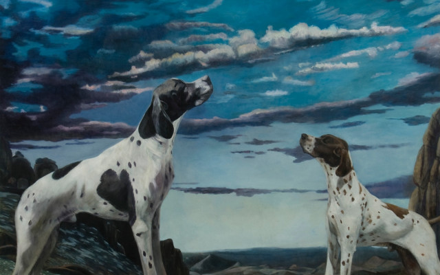 Dogs rocky outdoor ocean sunset free wallpaper for desktop - medium preview image