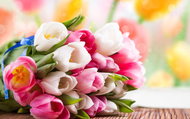 Tulip bouquet window blurry background free wallpaper for desktop - medium preview image