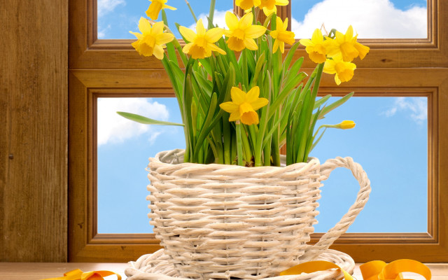 Flower basket window sky mountains free wallpaper for desktop - medium preview image