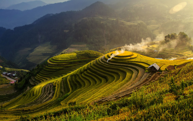 Rice field house mountain fog free wallpaper for desktop - medium preview image