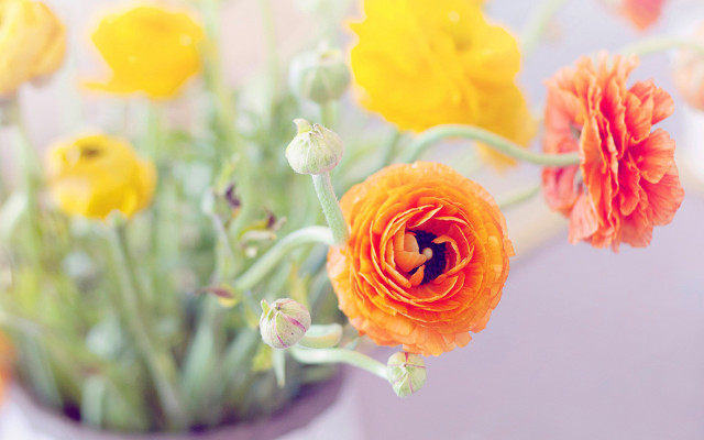 Vase flower autumn blurry background free wallpaper for desktop - medium preview image