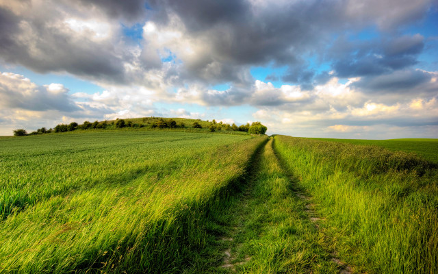 Dirt road field cloudy sky #2 free wallpaper for desktop - medium preview image