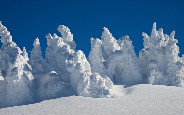 Snowy mountain blue sky trees free wallpaper for desktop - medium preview image