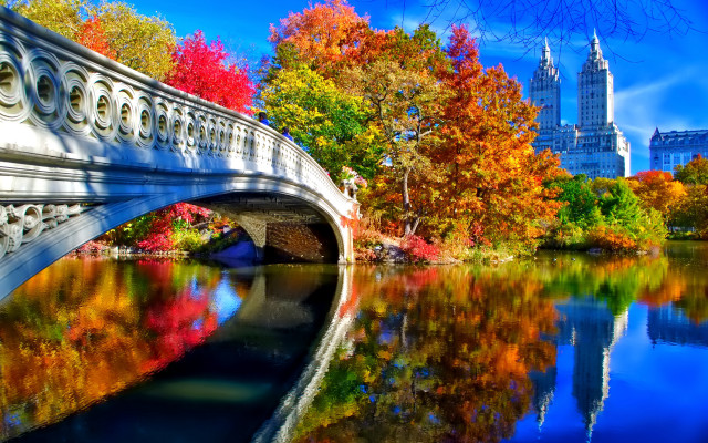 Autumn bridge river city trees free wallpaper for desktop - medium preview image
