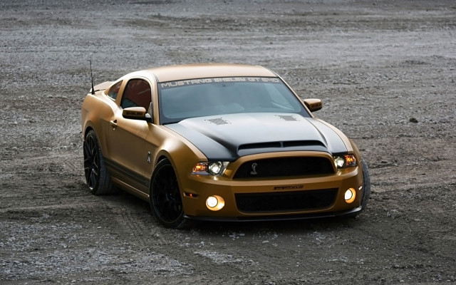 Gold mustang hood dirt light free wallpaper for desktop - medium preview image