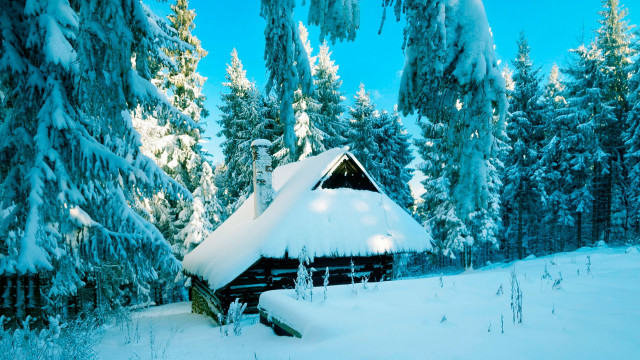 Snowy cabin woods branch blue free wallpaper for desktop - medium preview image