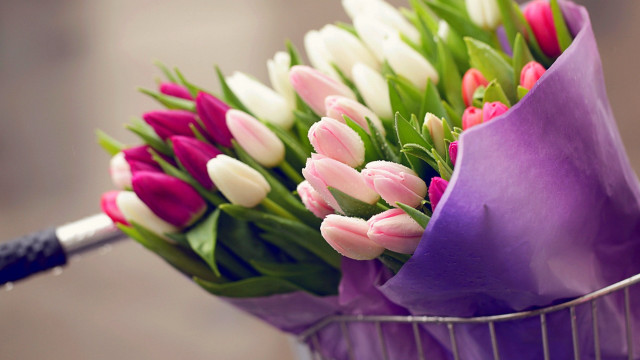Flowers basket handle purple cloth free wallpaper for desktop - medium preview image