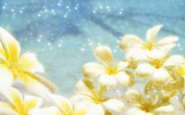 Flowers snow stars summer vibrancy free wallpaper for desktop - medium preview image