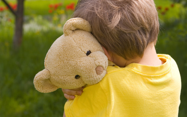Young boy teddy bear field free wallpaper for desktop - medium preview image