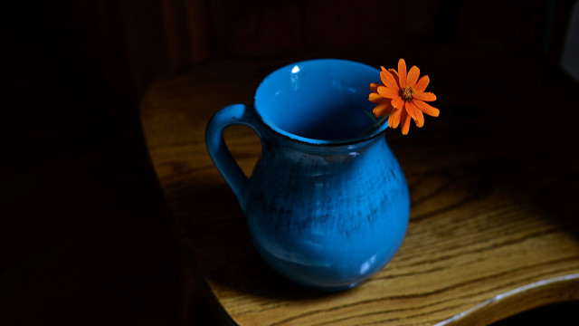 Blue vase flower wooden table free wallpaper for desktop - medium preview image