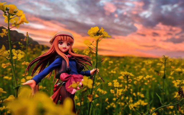 Doll field flower sunset pink free wallpaper for desktop - medium preview image