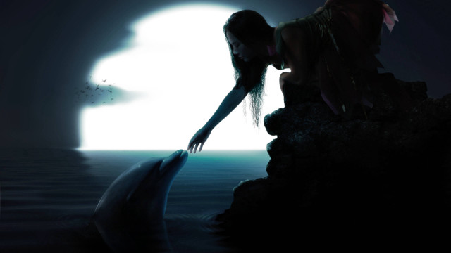 Woman dolphin night moonlight dreamlike free wallpaper for desktop - medium preview image
