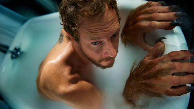 Bearded man bathtub portrait furry free wallpaper for desktop - medium preview image