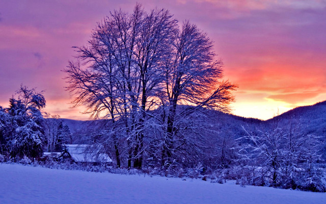 Sunset snow covered field trees #3 free wallpaper for desktop - medium preview image