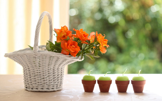 Flower basket candles window bokeh free wallpaper for desktop - medium preview image