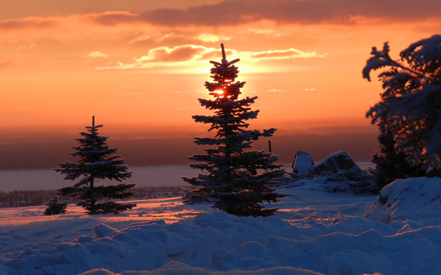 Sunset snowy landscape trees lake free wallpaper for desktop - medium preview image