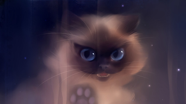 Creepy blue eyed cat staring free wallpaper for desktop - medium preview image