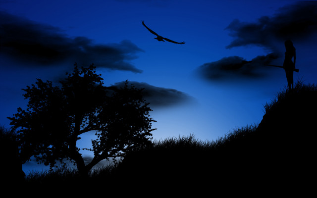 Bird flying over tree night free wallpaper for desktop - medium preview image