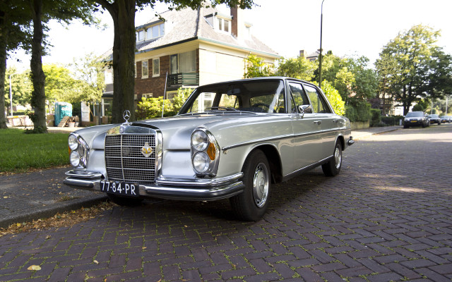 Car tree house digital rendering free wallpaper for desktop - medium preview image