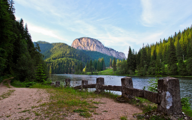 Lake forest mountain fence nature free wallpaper for desktop - medium preview image