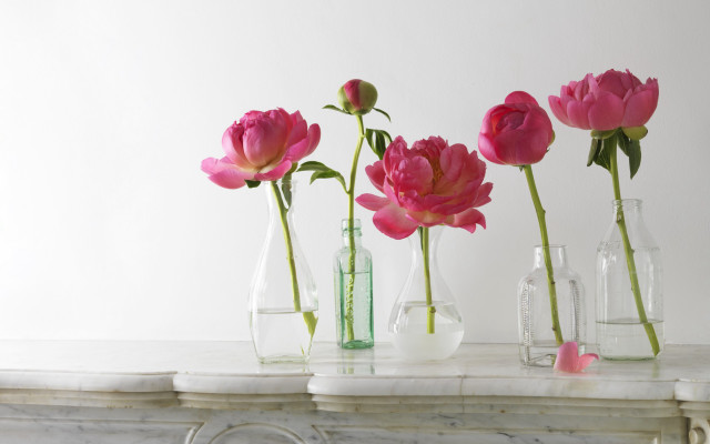 Vases flowers mantle marbled background free wallpaper for desktop - medium preview image