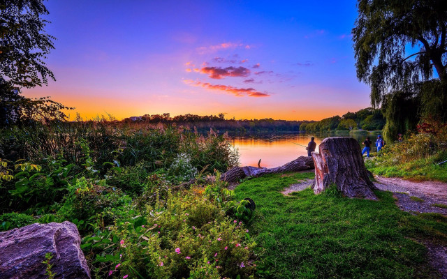 Sunset lake tree stump people free wallpaper for desktop - medium preview image