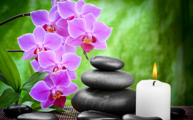 Candle rocks flower table green free wallpaper for desktop - medium preview image