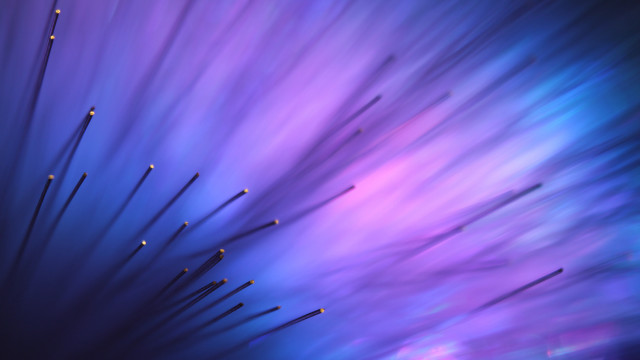 Purple blue flower detailed center free wallpaper for desktop - medium preview image