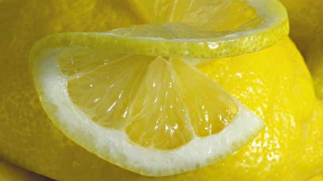 Lemon slice closeup whole background #2 free wallpaper for desktop - medium preview image