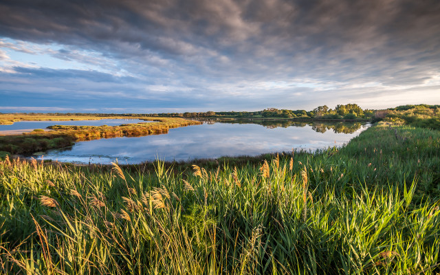 River trees grass clouds nature free wallpaper for desktop - medium preview image