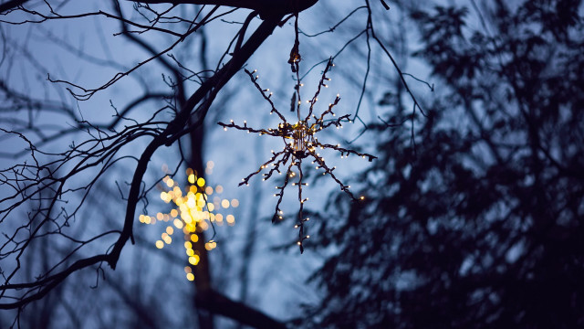 Spider web lights night autumn free wallpaper for desktop - medium preview image