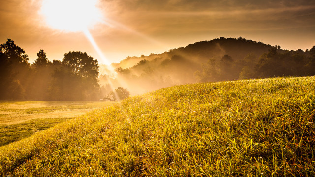 Sunshine clouds trees hill forest free wallpaper for desktop - medium preview image