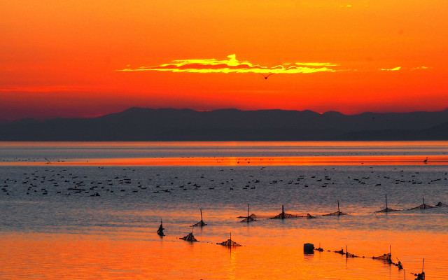 Sunset water birds mountains beach free wallpaper for desktop - medium preview image