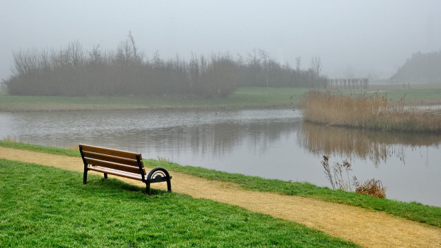 Foggy lake bench path park free wallpaper for desktop - medium preview image