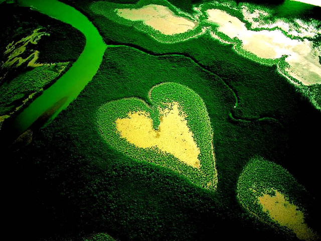Green heart yellow ecological microscopic free wallpaper for desktop - medium preview image
